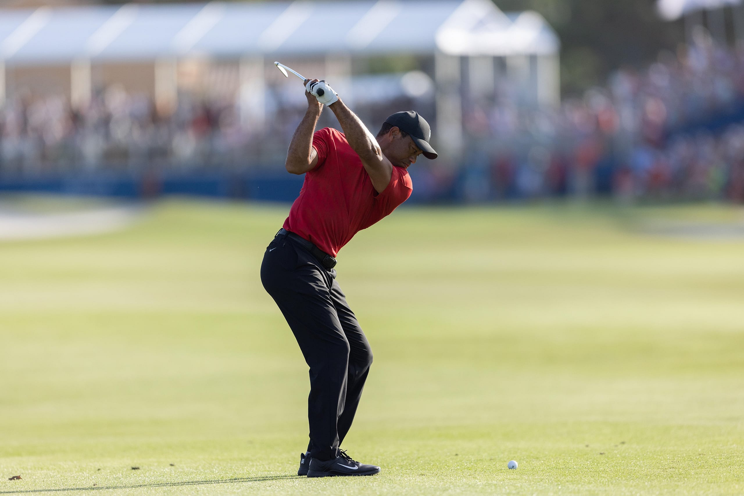 tiger woods, pga masters