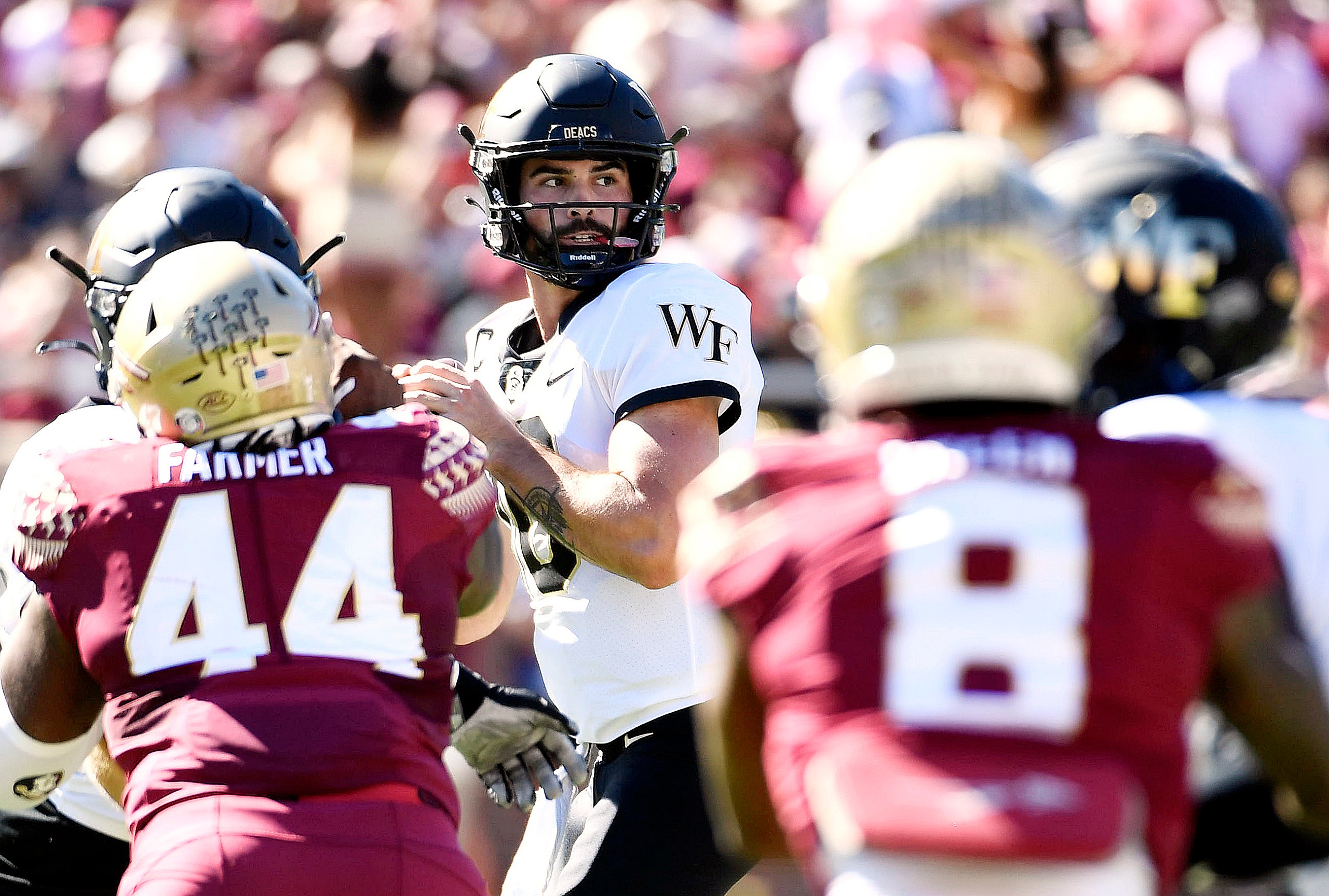 NCAA Football: Wake Forest at Florida State