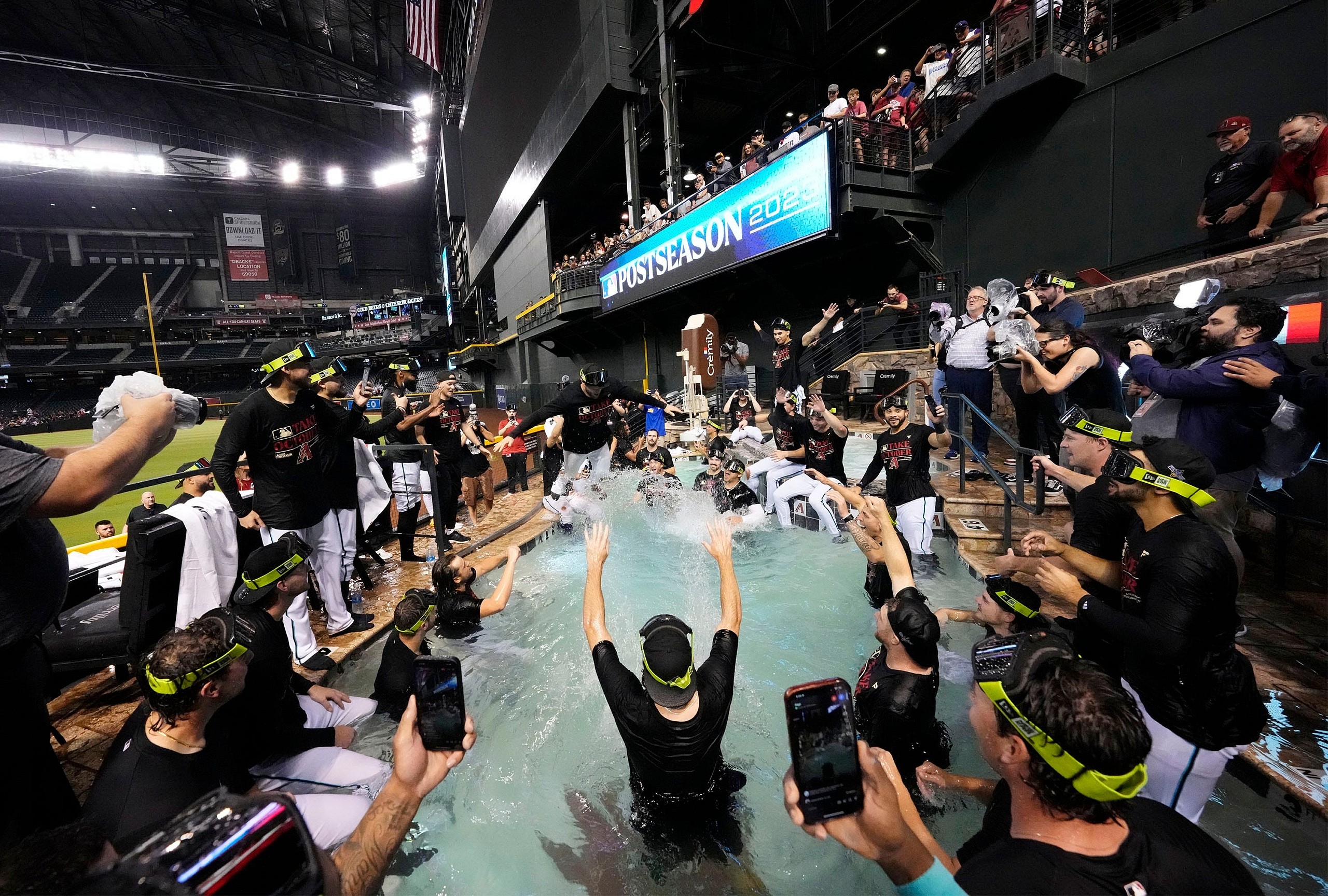 arizona diamondbacks