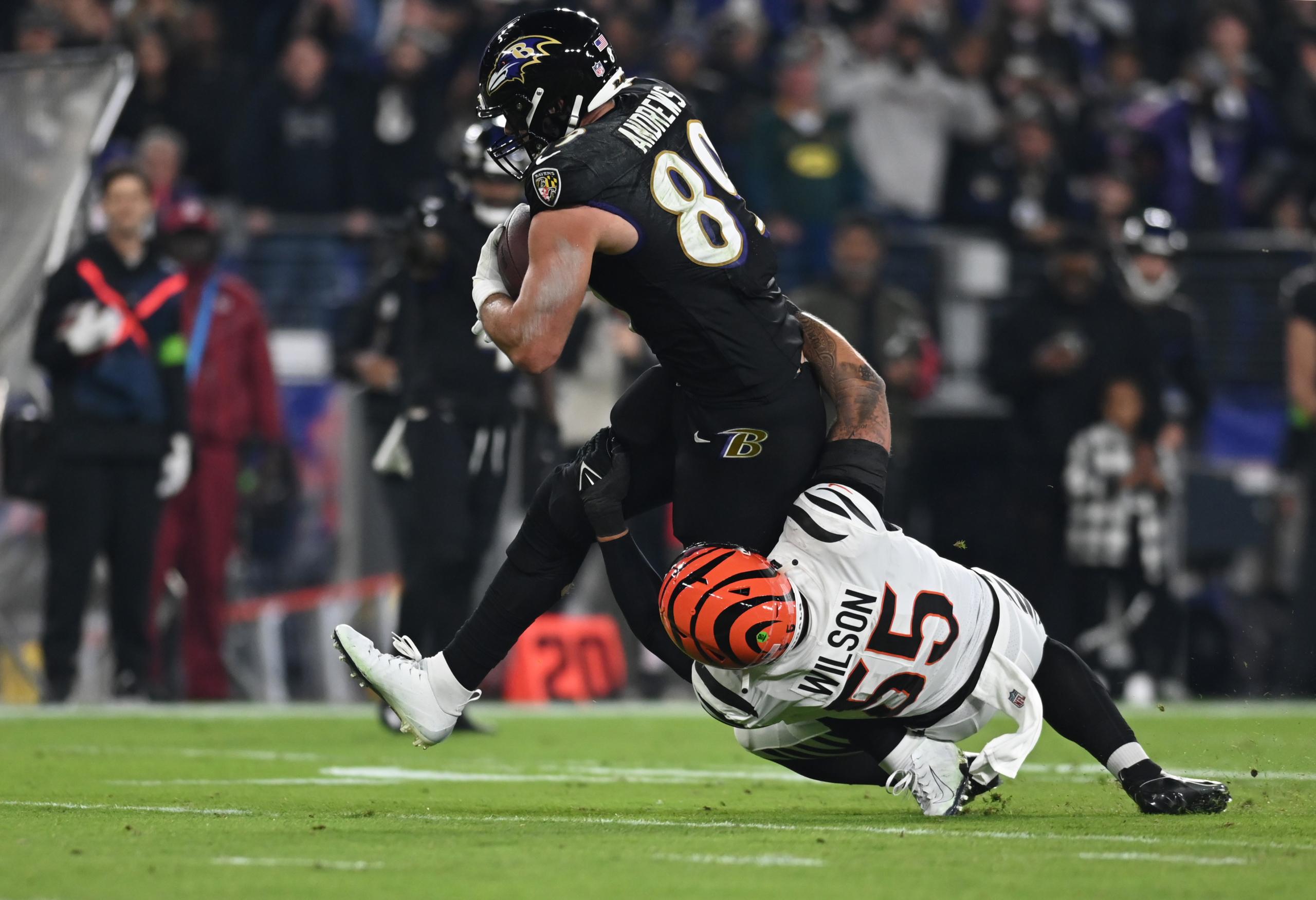 baltimore ravens