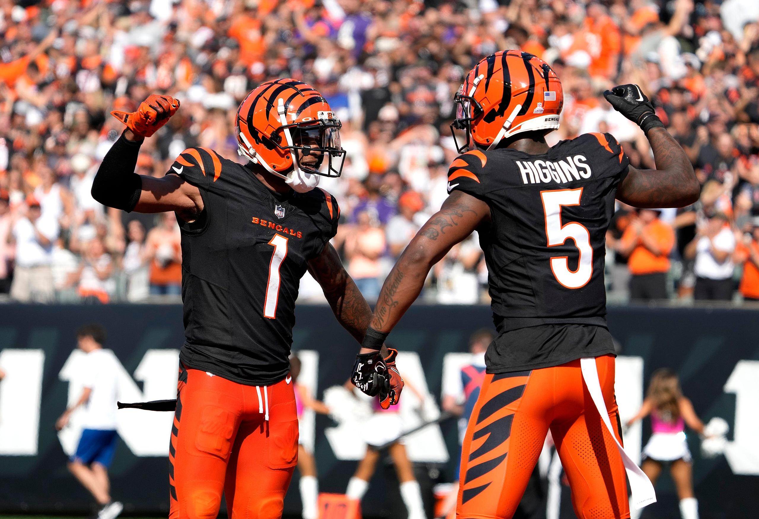 Cincinnati Bengals, Tee Higgins