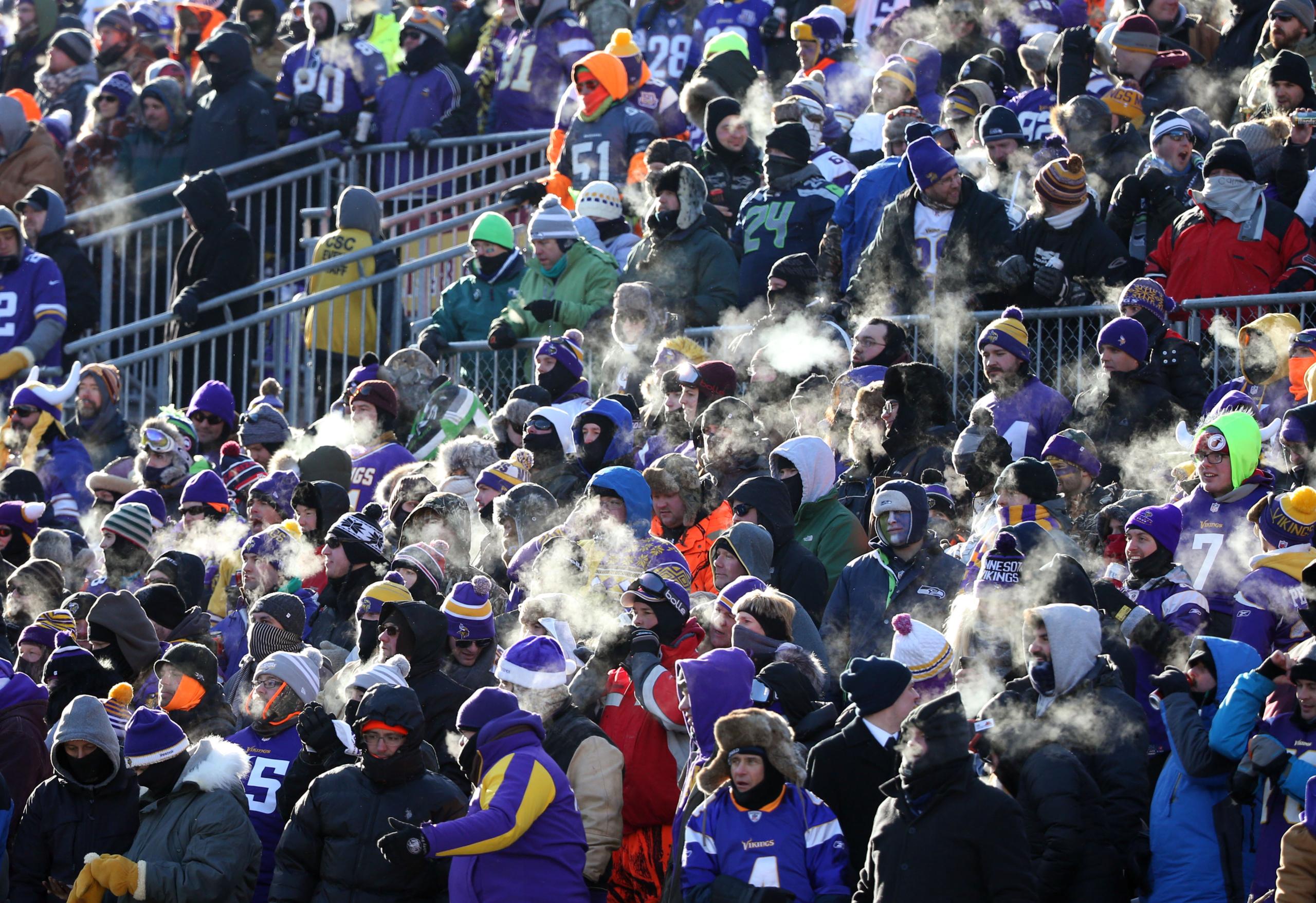 minnesota vikings