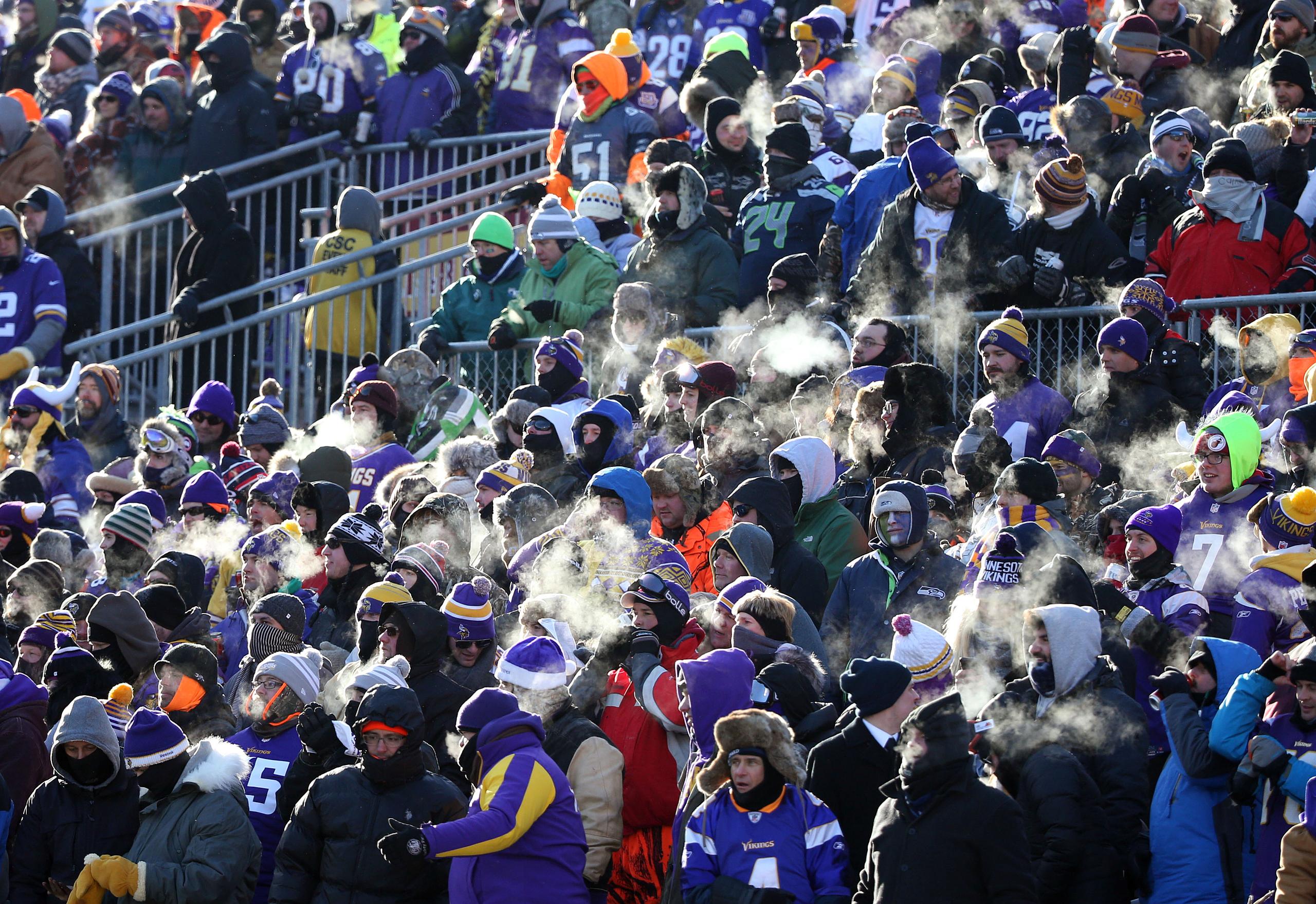 minnesota vikings