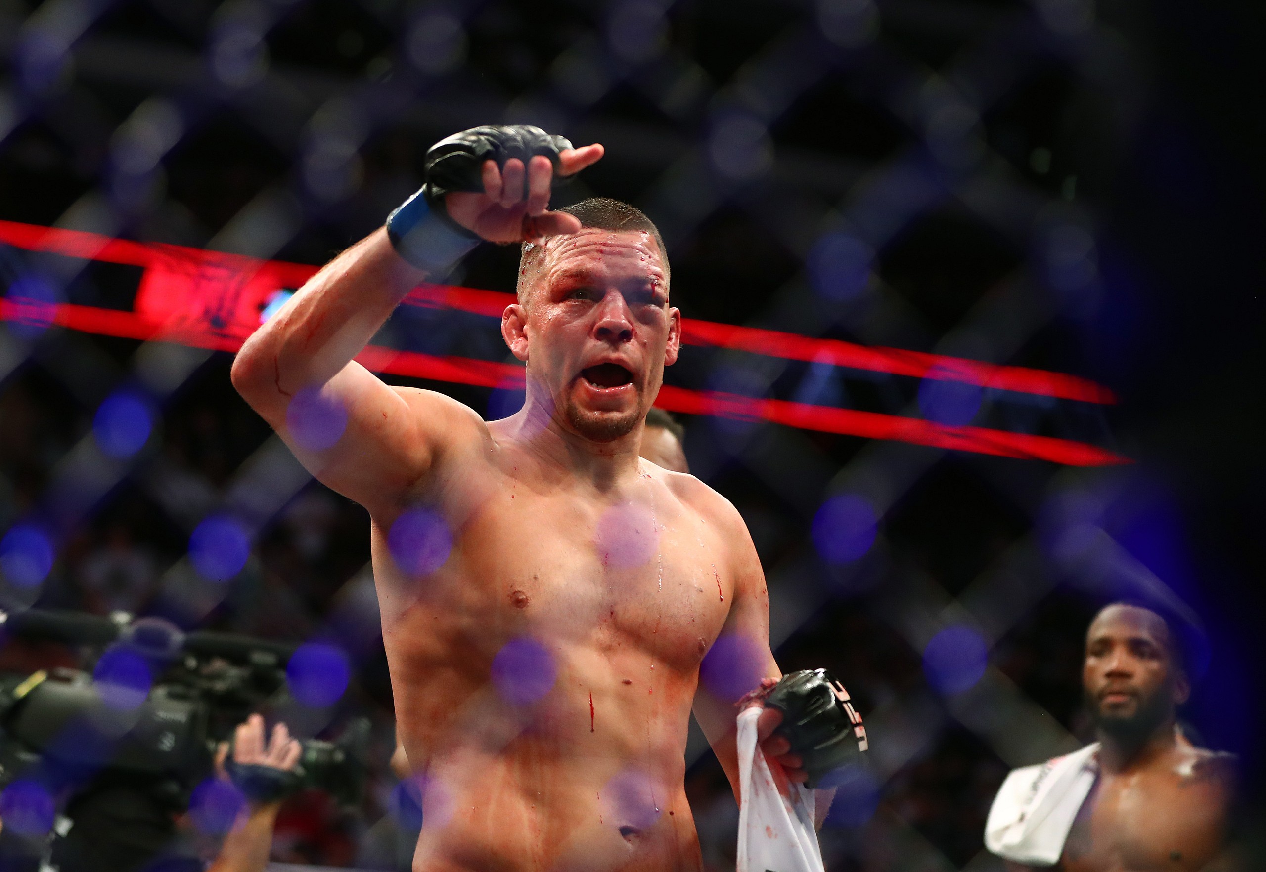 nate diaz, ufc
