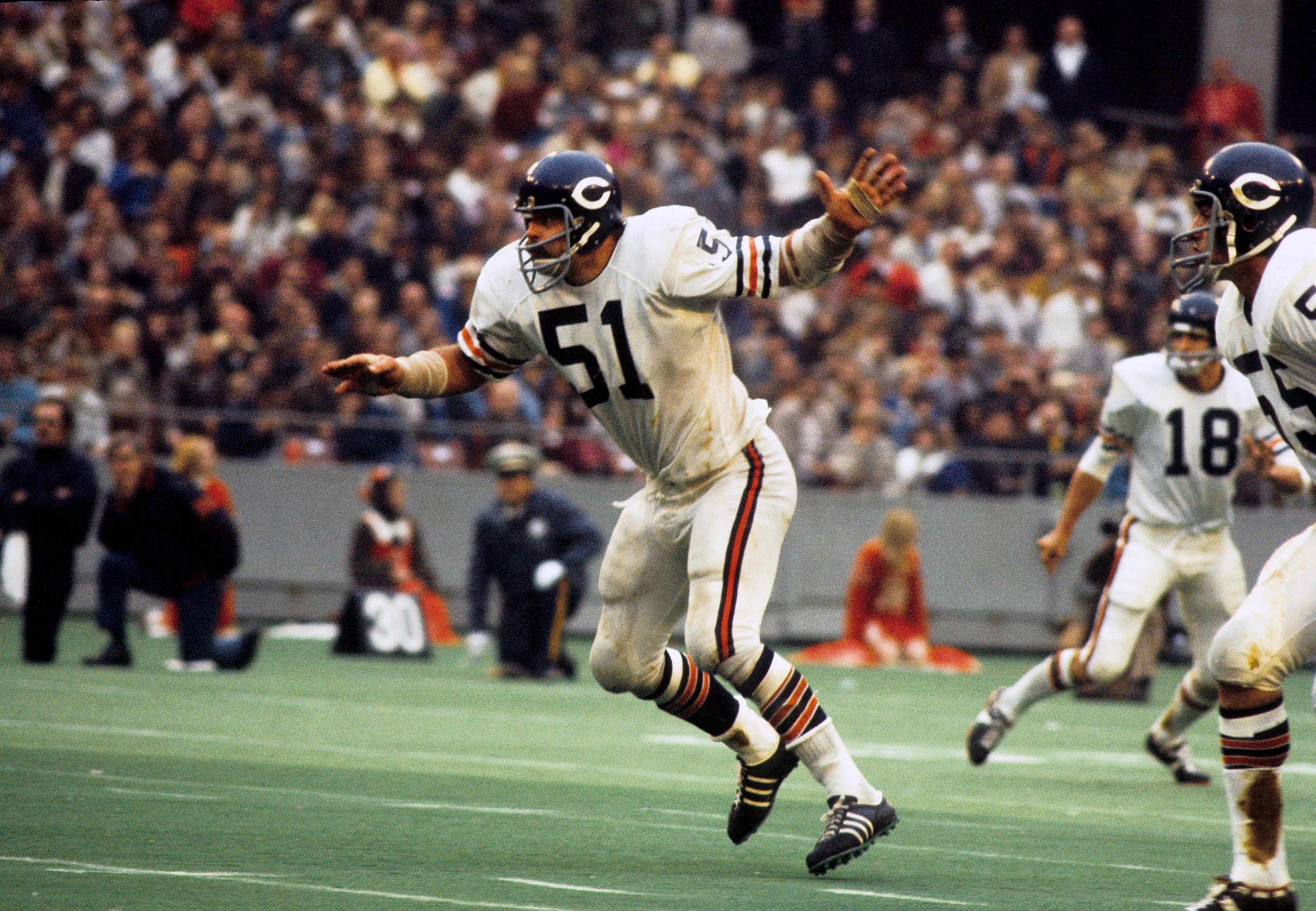 dick butkus, chicago bears