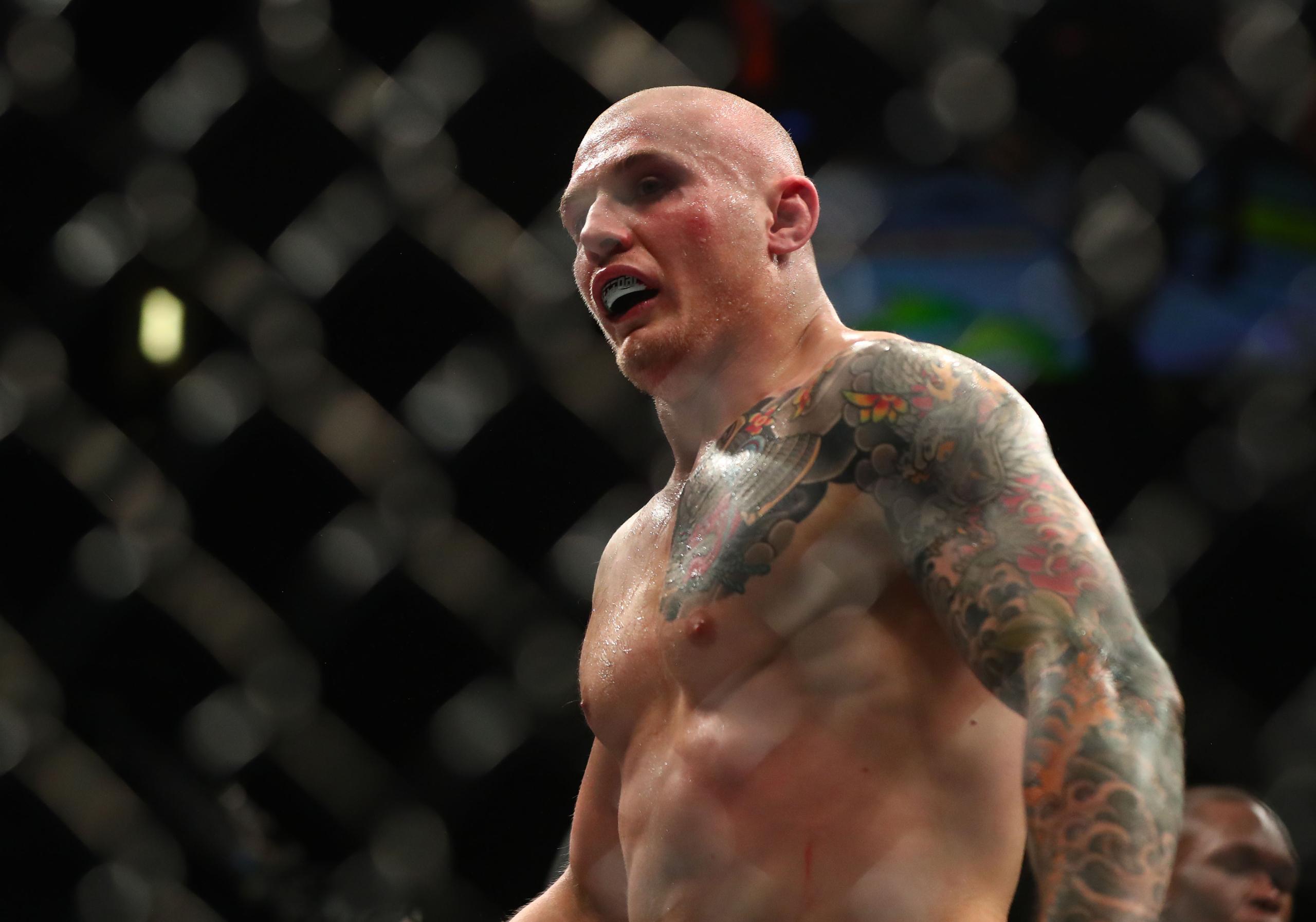 robert whittaker, marvin vettori