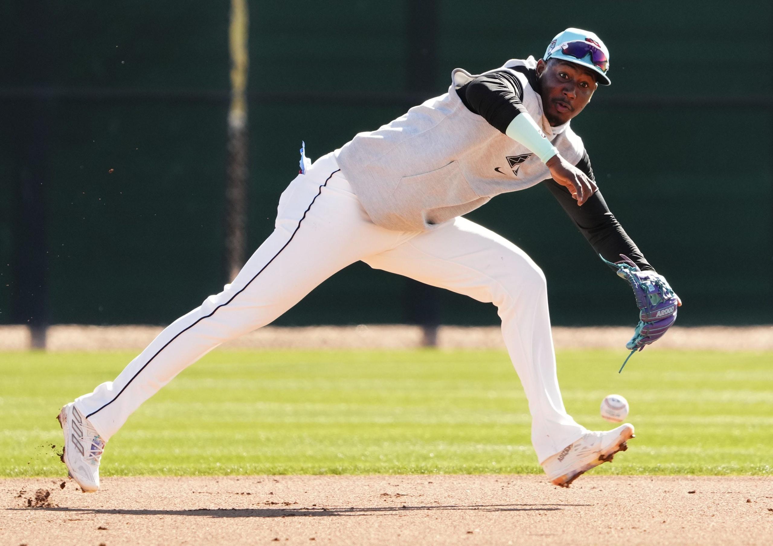 arizona diamondbacks