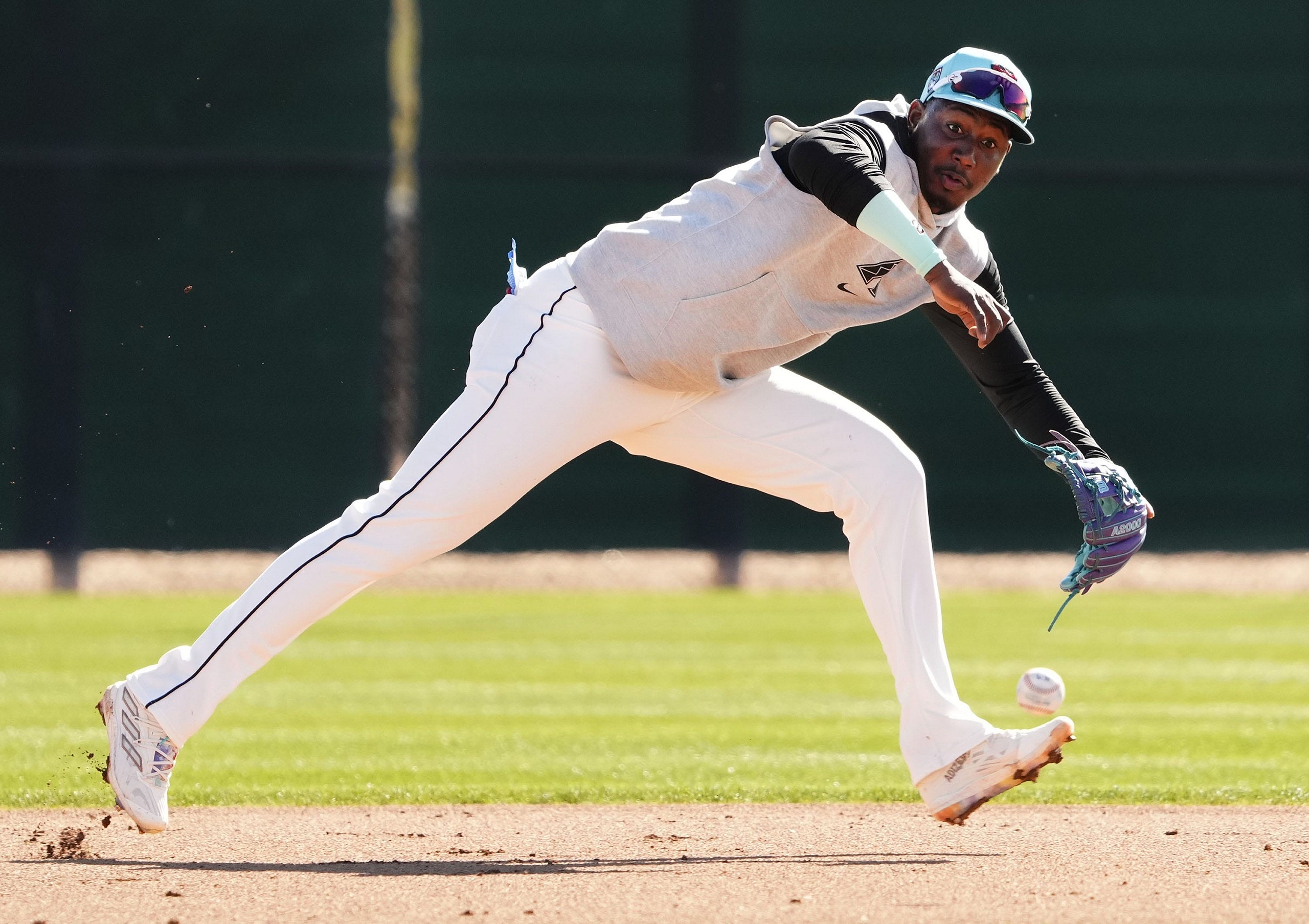 arizona diamondbacks