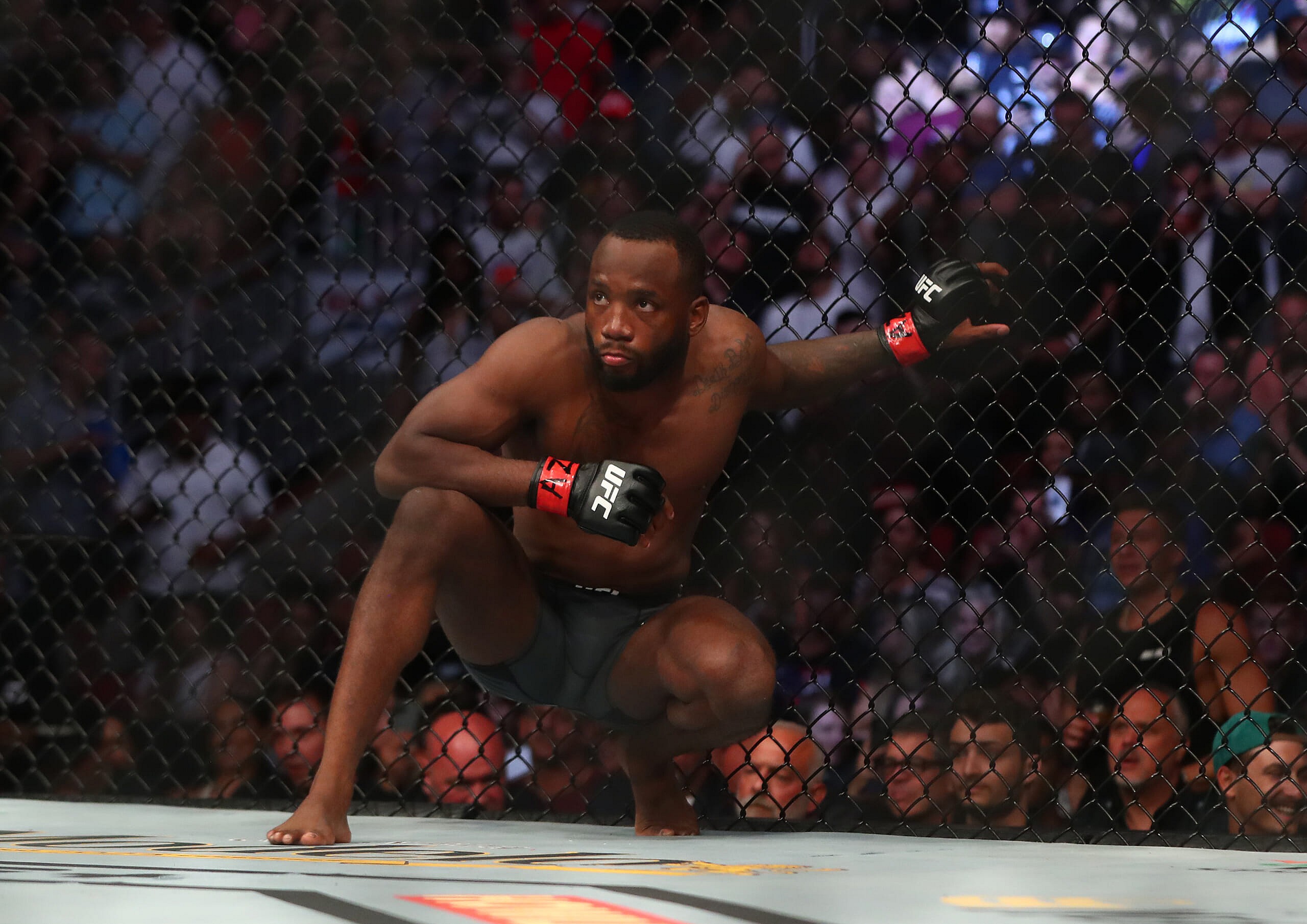 kamaru usman, ufc fighters