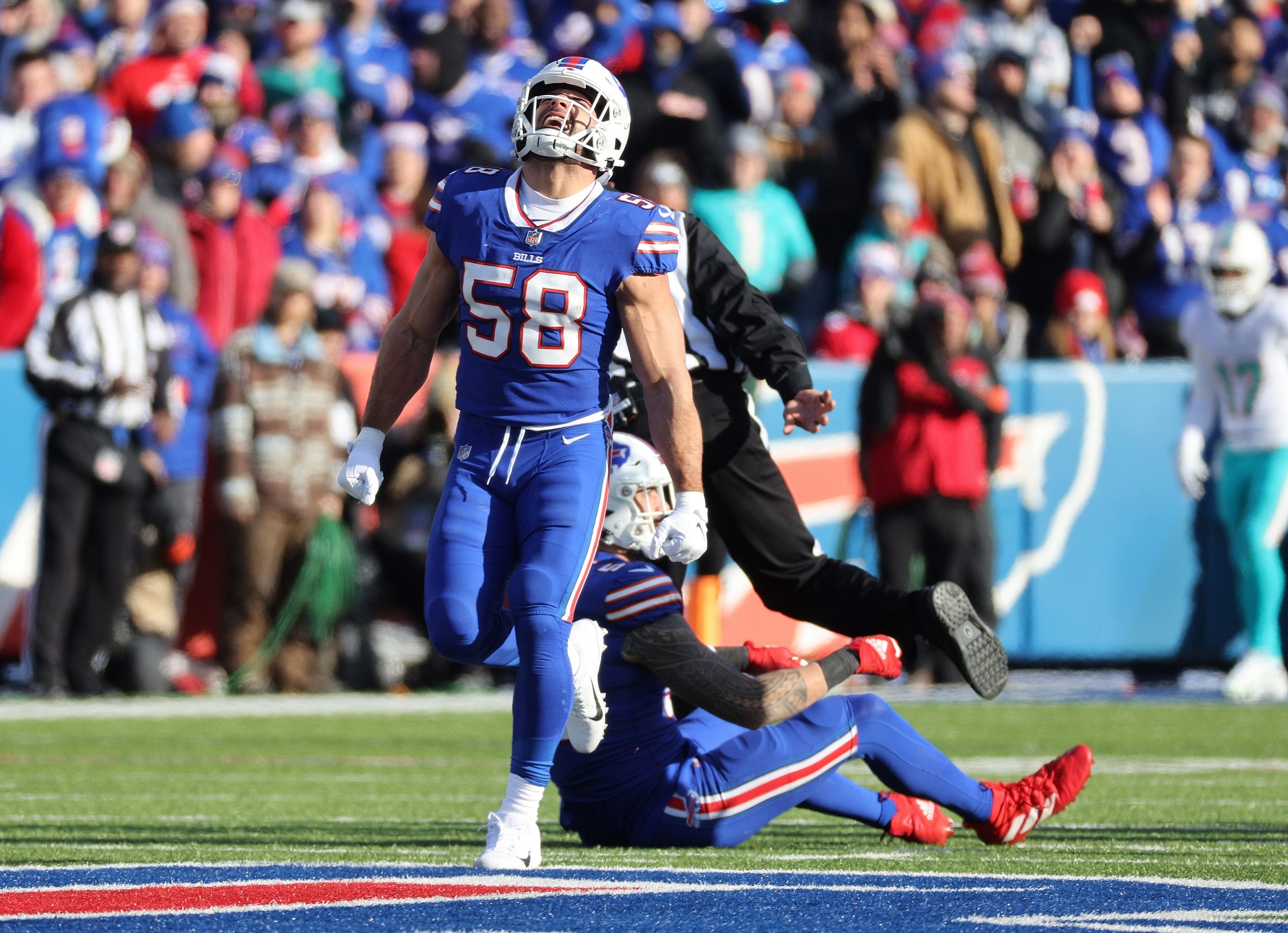 buffalo bills