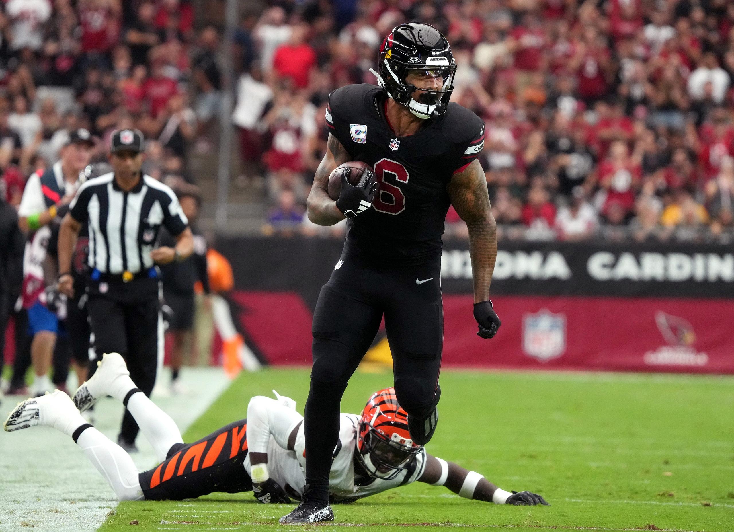 arizona cardinals