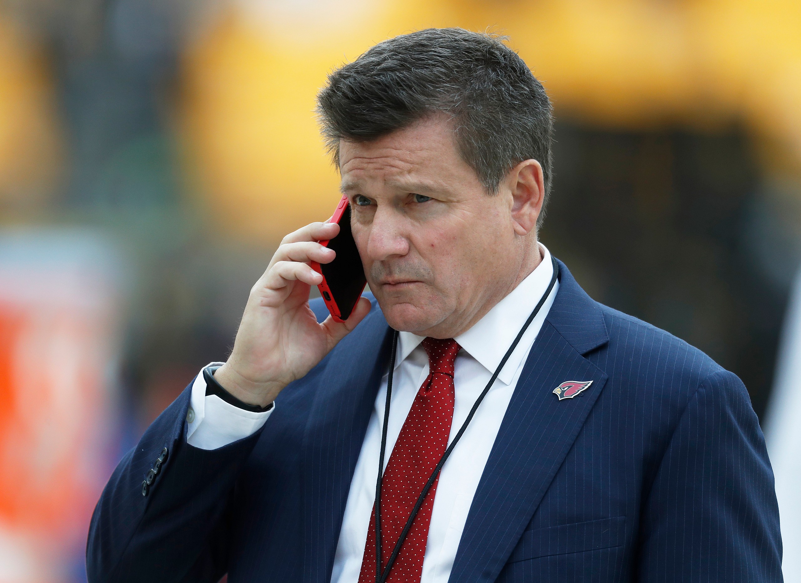 NFL, Arizona Cardinals, Michael Bidwill