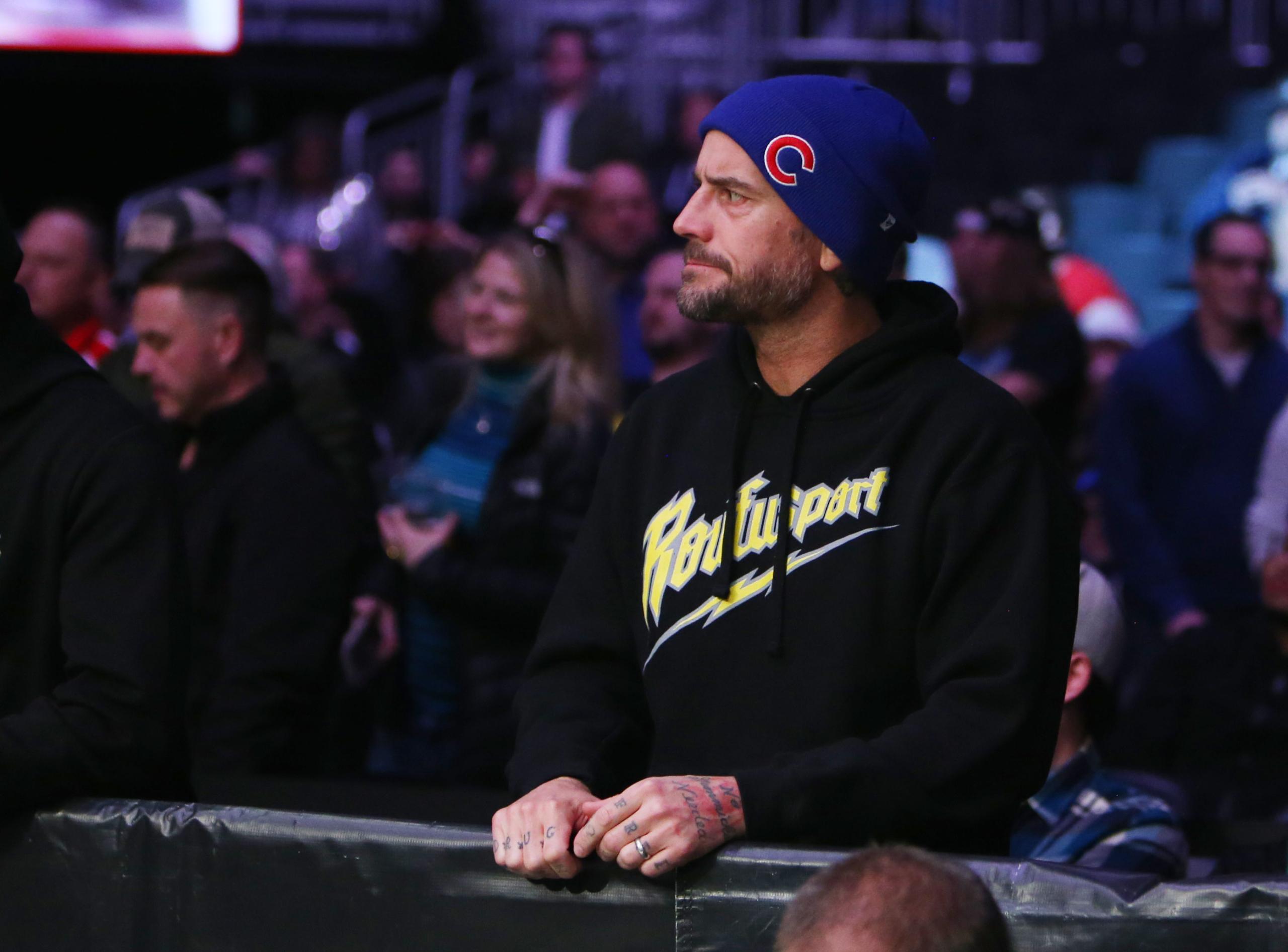 wwe, roman reigns