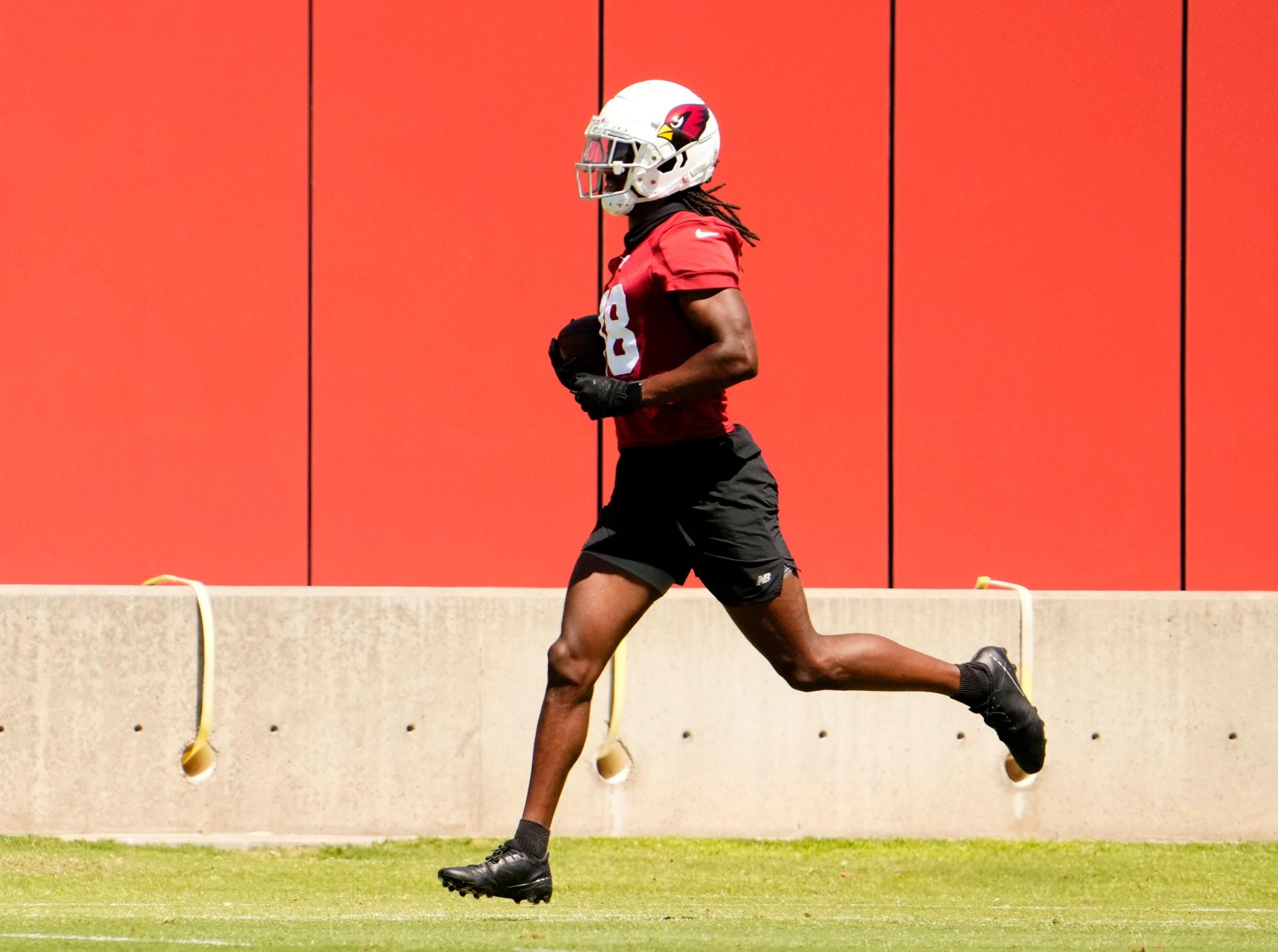 arizona cardinals