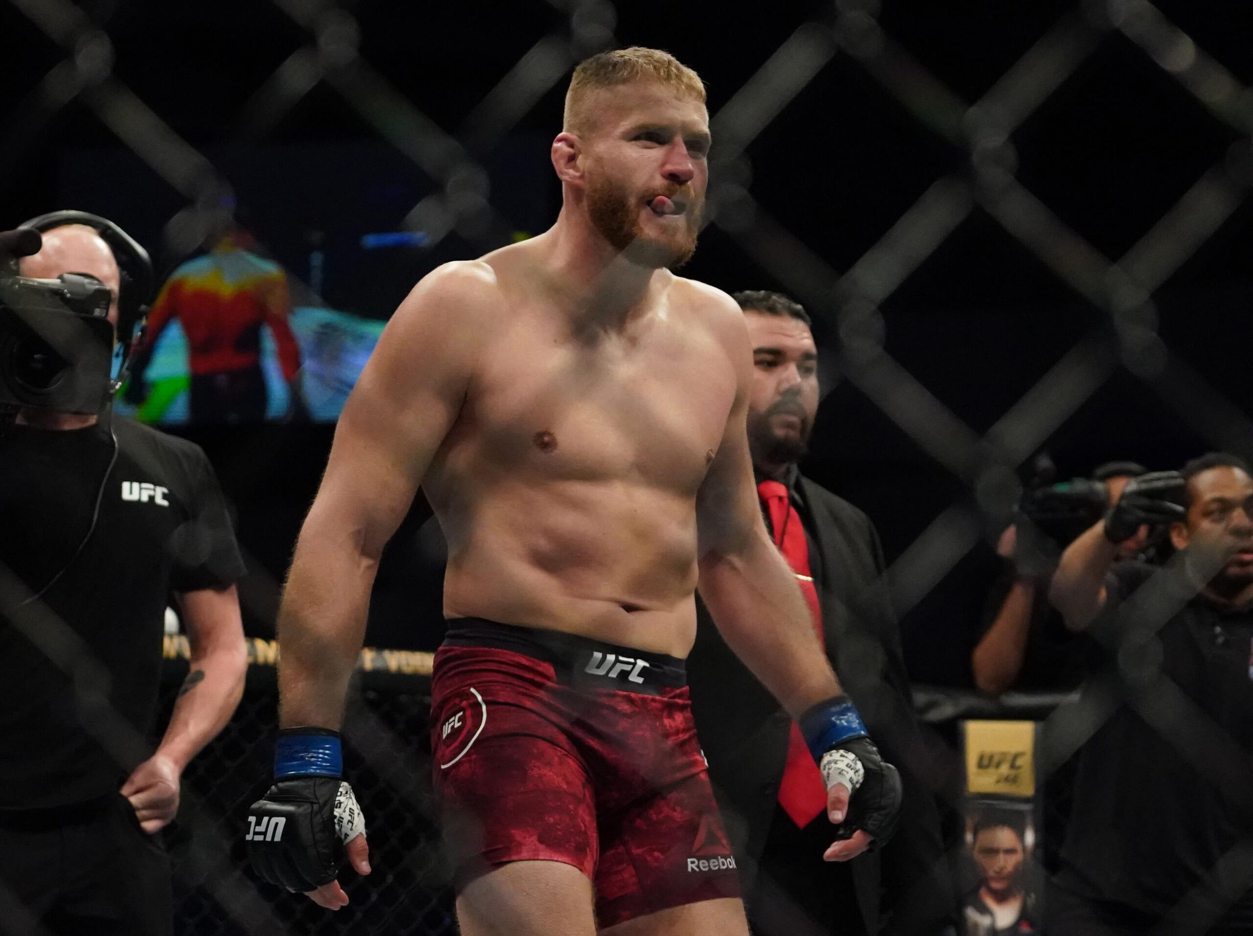 jan blachowicz, israel adesanya, ufc