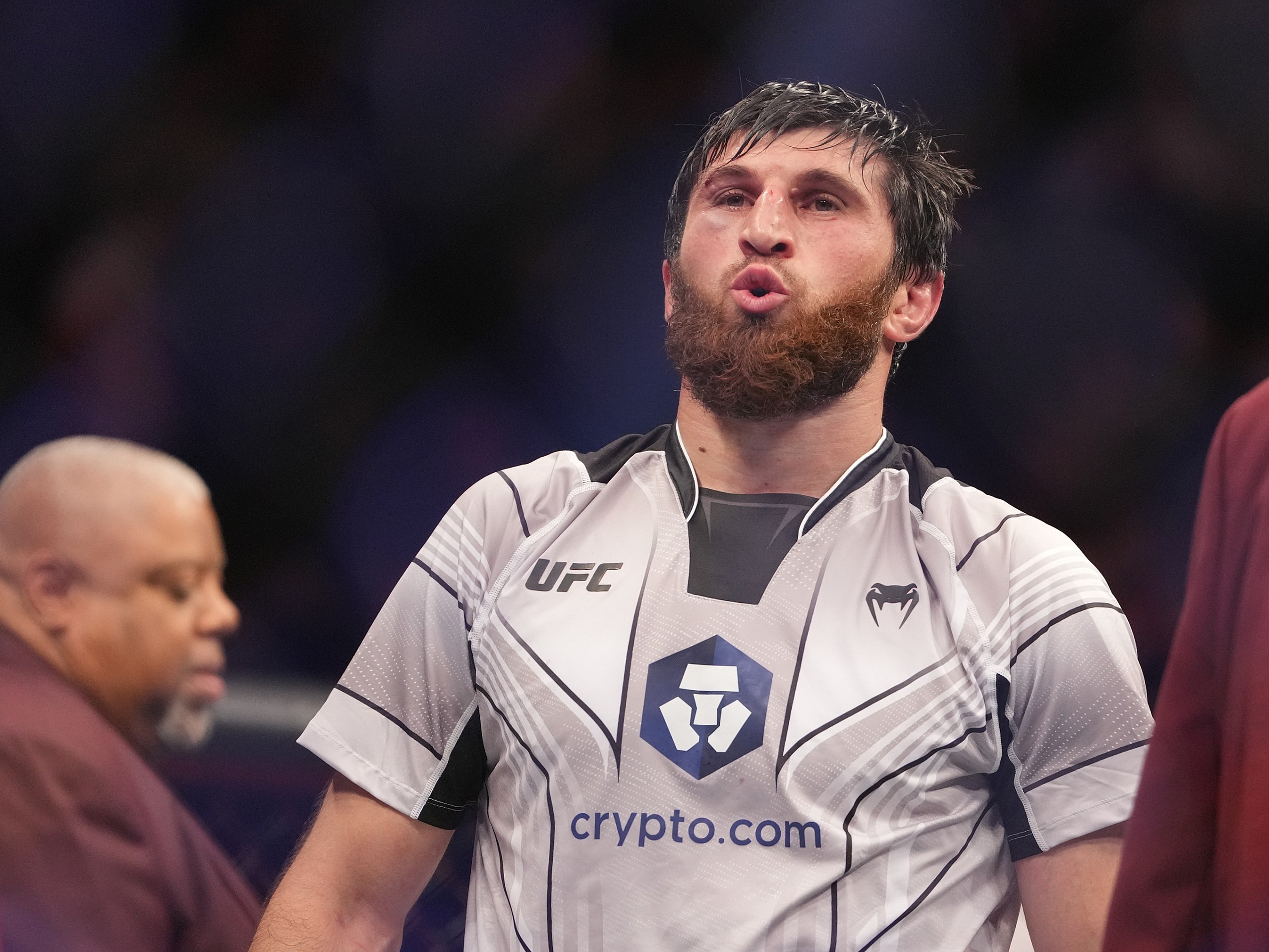 ufc predictions, ufc 294