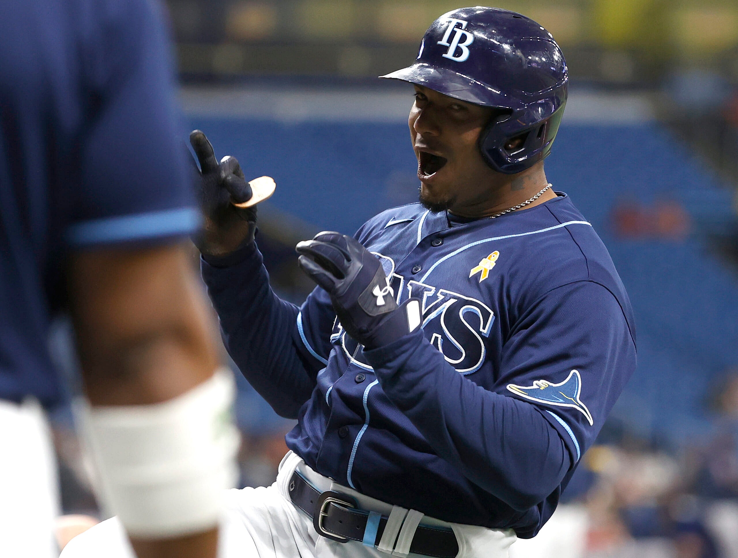 tampa bay rays wander franco