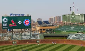 Ernie Banks Tribute SN