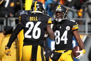 Jan 8, 2017; Pittsburgh, PA, USA; Pittsburgh Steelers wide receiver Antonio Brown (84) celebrates with Steelers running back Le'Veon Bell (26) after scoring a touchdown against the Miami Dolphins in the AFC Wild Card playoff football game at Heinz Field. Mandatory Credit: Geoff Burke-USA TODAY Sports