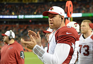 Carson Palmer