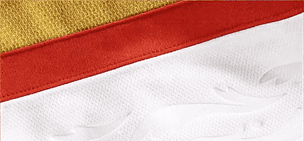 MAX PACIORETTY Vegas Golden Knights Gameday Tomas Hertl