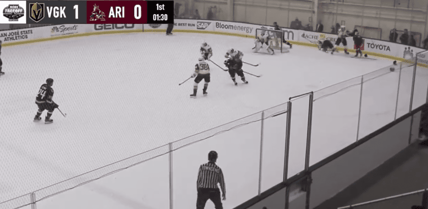Vegas Golden Knights prospect Joe Fleming fights Arizona Coyotes prospect Jack McBain.