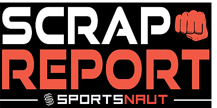 ufc 295 predictions, scrap report