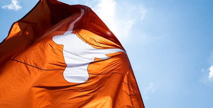 texas longhorns