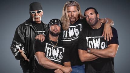 The NWO / wrestling stables