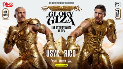 usyk vs verhoeven dazn