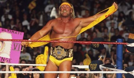 hulk hogan