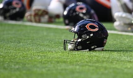 bears