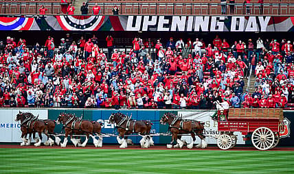 st. louis cardinals