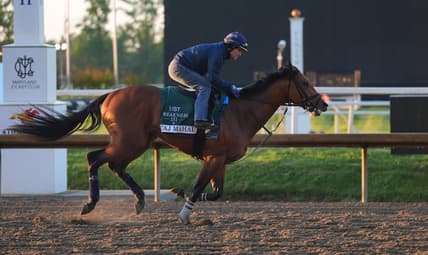 preakness stakes