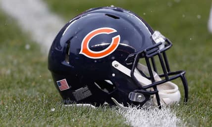 Bears