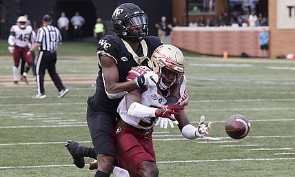 Sep 18, 2021; Winston-Salem, North Carolina, USA; Florida State Seminoles defensive back Jarvis Brownlee Jr. (3) is flagged for interference on Wake Forest Demon Deacons wide receiver Jaquarii Roberson (5) during the second quarter at Truist Field. Mandatory Credit: Reinhold Matay-USA TODAY Sports