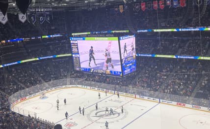 Vegas Golden Knights forward Keegan Kolesar fights Tampa Bay Lightning defenseman Emil Lilleberg 10/26/2025