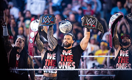 wwe sale