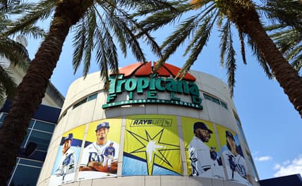 tampa bay rays