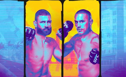 ufc 327 prochazka vs ulberg
