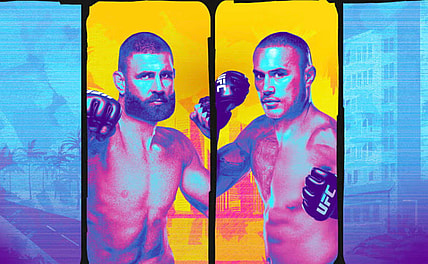 ufc 327 prochazka vs ulberg