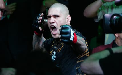 alex pereira