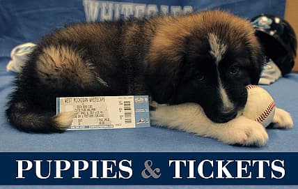 You can have your Opening Day tickets delivered to you by puppies. Really.