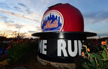 Mets fan