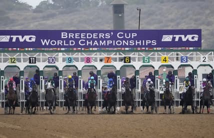 breeders' cup