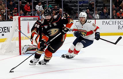 Nov 17, 2023; Anaheim, California, USA; Anaheim Ducks defenseman Radko Gudas (7) skates against Florida Panthers center Sam Reinhart (13) during the third period at Honda Center. Mandatory Credit: Jason Parkhurst-USA TODAY Sports