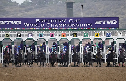 breeders' cup