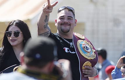 zuffa boxing