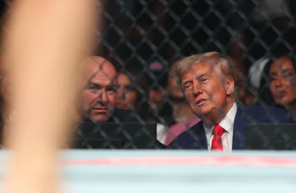 dana white