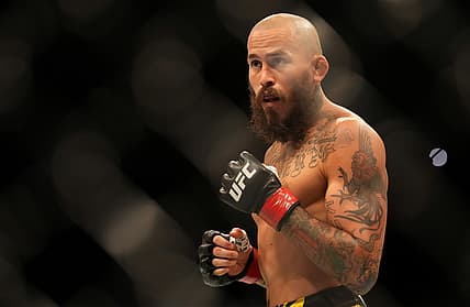 ufc predictions